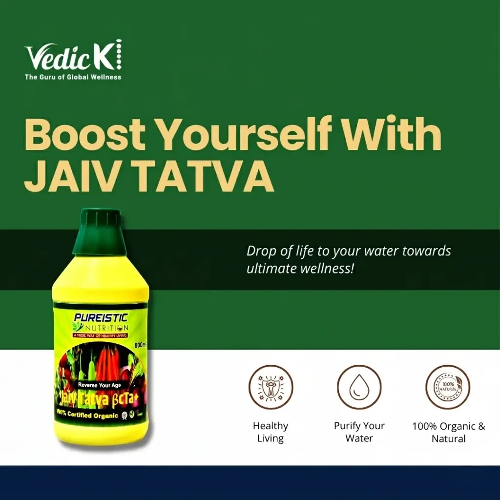 Vedic KI promo