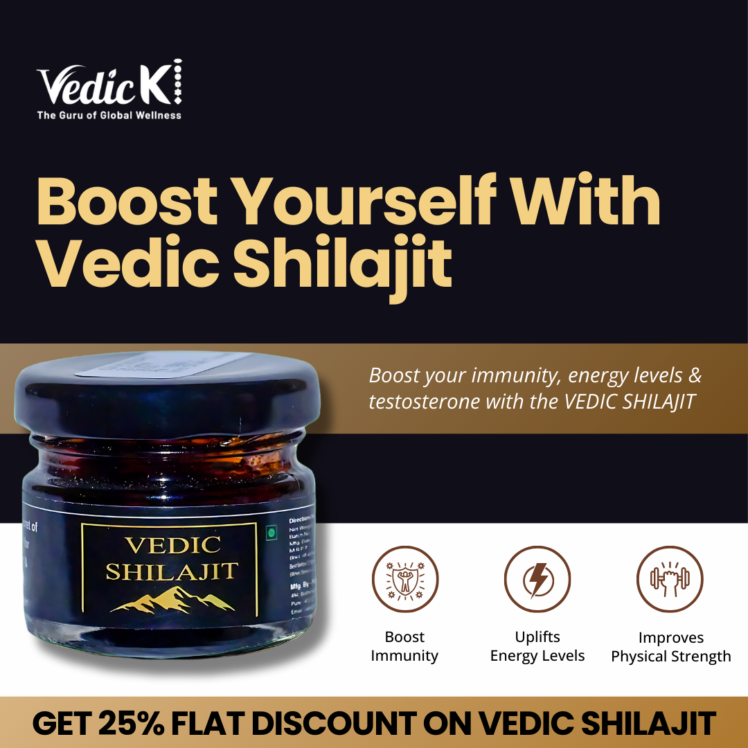 Vedic KI promo
